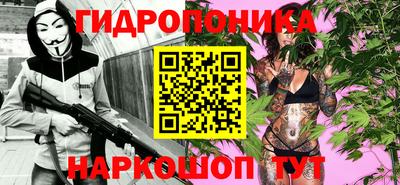 крисы Свободный