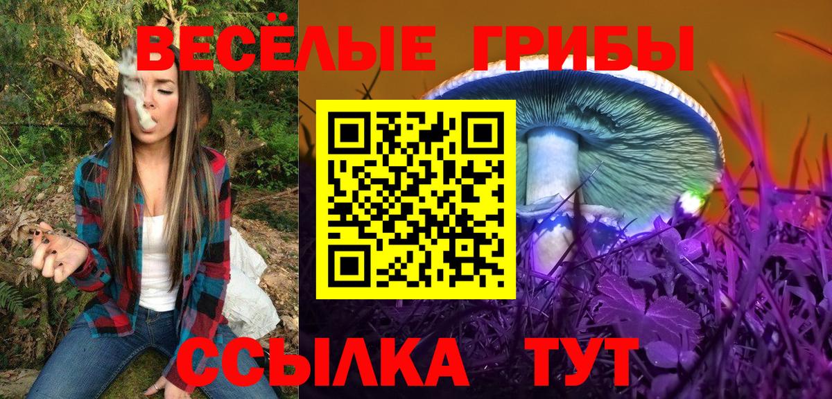 Псков  Псилоцибиновые грибы Magic Shrooms  продажа наркотиков  Вход с VPN 