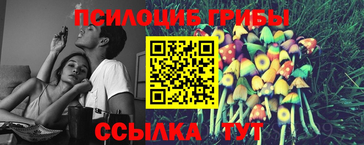 Псилоцибиновые грибы Psilocybine cubensis Псков