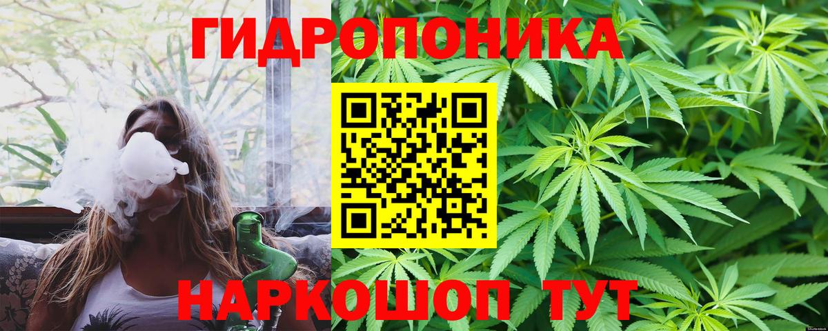 Псков  Конопля VHQ  Конопля семена  Каннабис конопля  Вход с VPN 